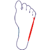 foot side