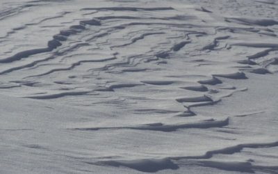 From Snowbird Secrets: On Being Light