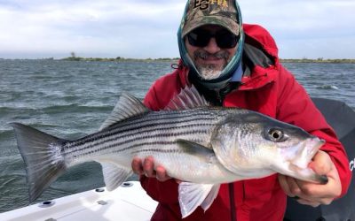 My IT Angel has Ascended